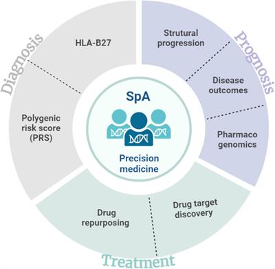 How to translate genetic findings into clinical applications in spondyloarthritis?